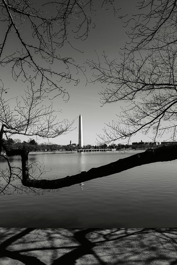Washington Memorial #3 Photograph by Brandon Bourdages