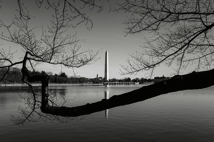 Architecture Photograph - Washington Monument #3 by Brandon Bourdages