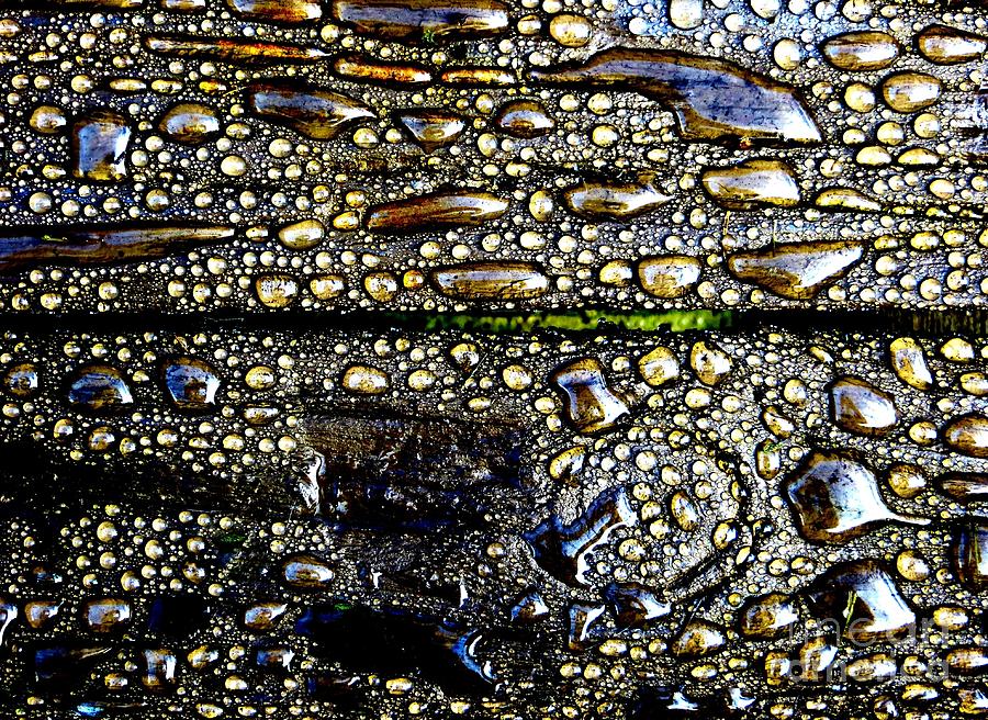 Water Drops #3 Photograph by Tim Townsend