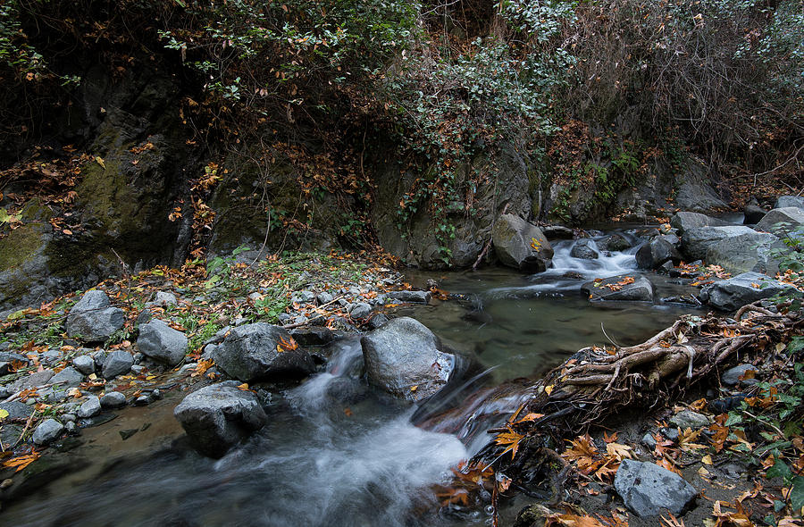 Water stream flowing in the river in autumn #3 Photograph by Michalakis Ppalis