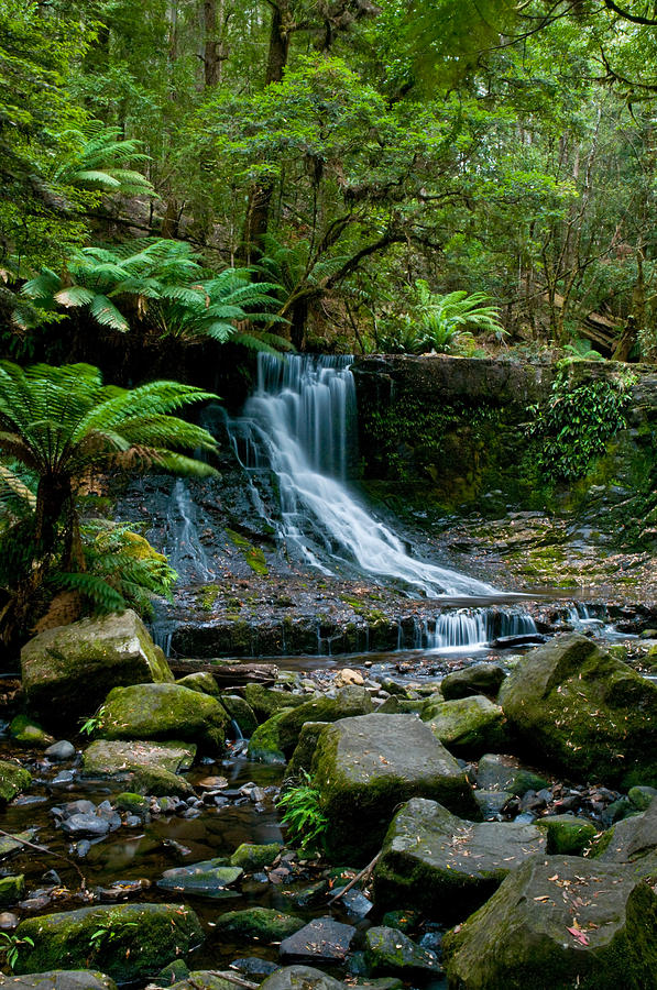 Jungle Photograph - Waterfall in deep forest #3 by U Schade
