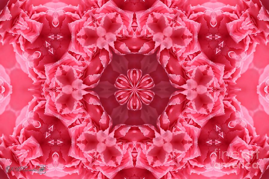 Watermelon Carnation Ruffles Mandala #2 Digital Art by J McCombie