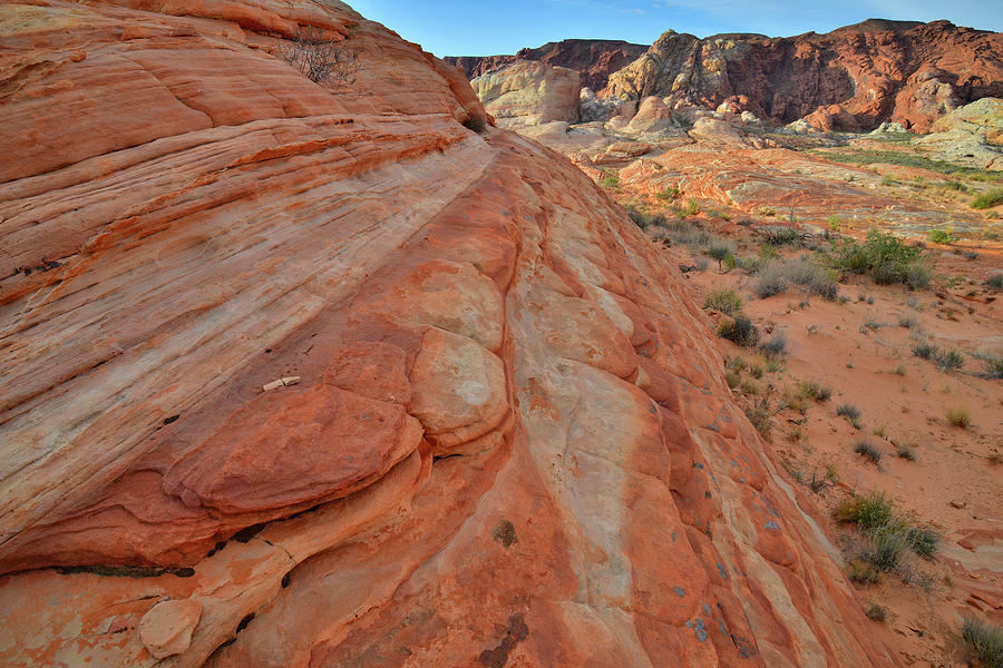 Wave of Color in Valley of Fire #3 Photograph by Ray Mathis
