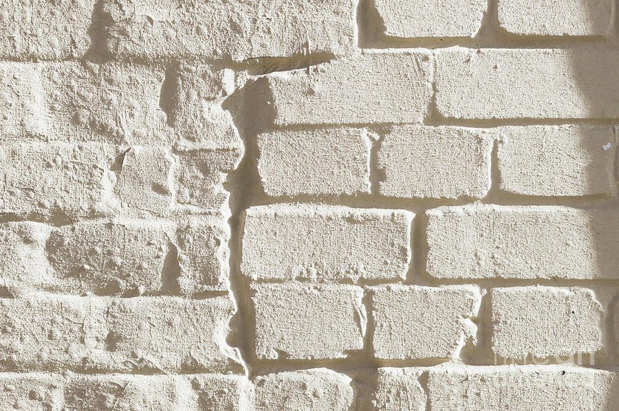 Weathered brick wall #3 Photograph by Tom Gowanlock