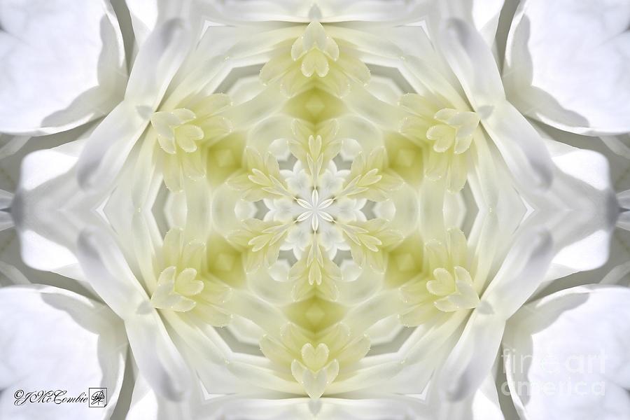 White Arctic Queen Kaleidoscope #2 Digital Art by J McCombie