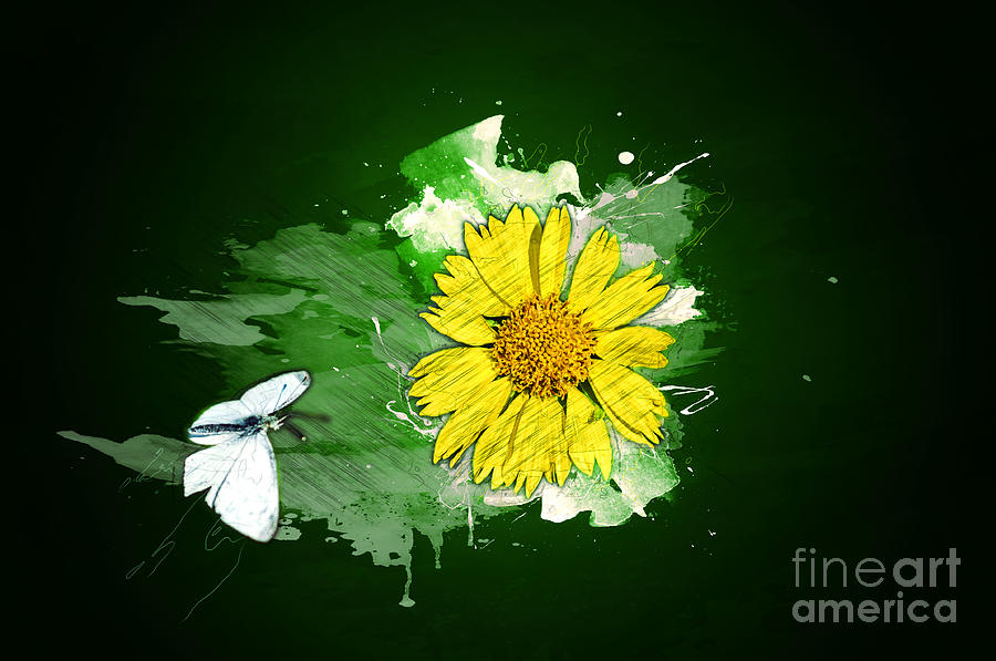 White Butterfly And Yellow Flower #3 Photograph by Humorous Quotes
