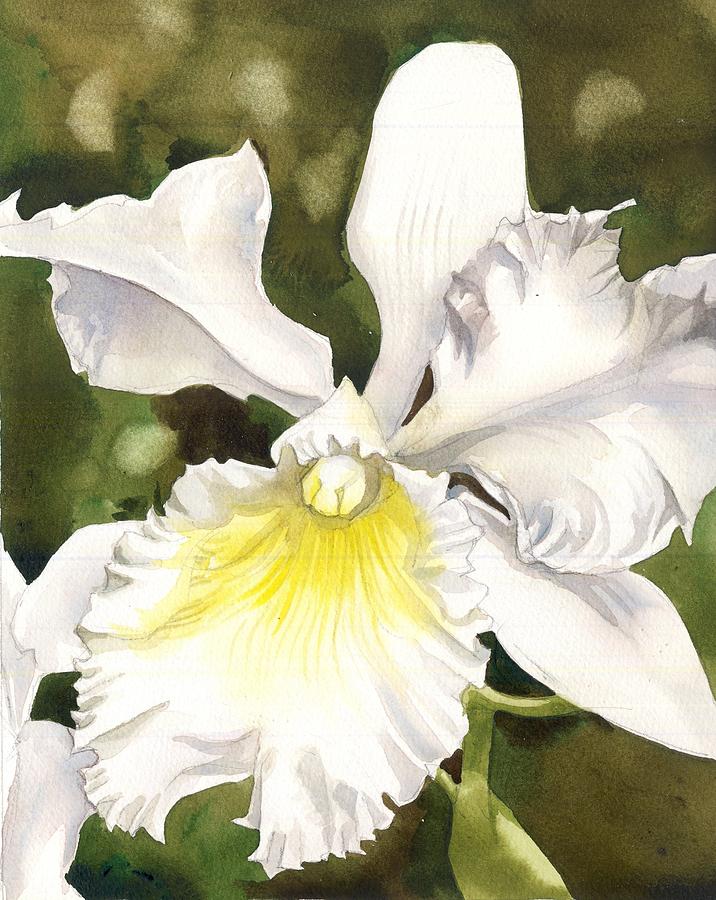 White Cattleya Orchid #4 Painting by Alfred Ng