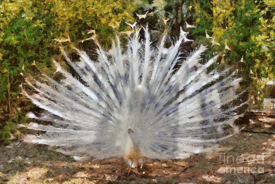 Peacock Painting - White peacock with open tail #1 by George Atsametakis