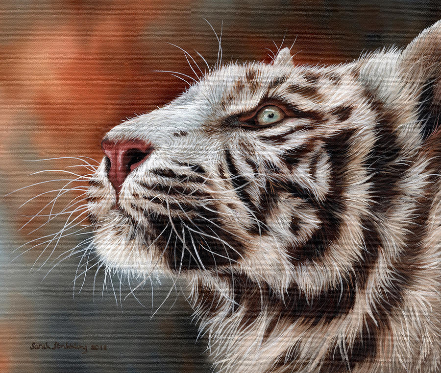 Siberian Tiger Drinking Painting by Sarah Stribbling