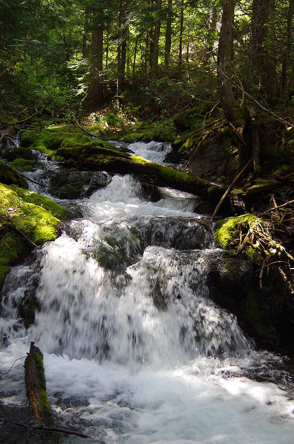 Willow Creek Falls Photograph by Mike Wheeler - Pixels