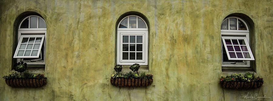 3 Windows Photograph by Wendy Carrington
