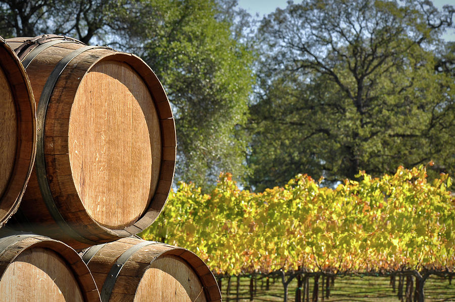 Wine Barrel #2 Photograph by Brandon Bourdages