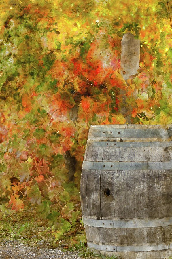Wine Barrel in Autumn #5 Photograph by Brandon Bourdages