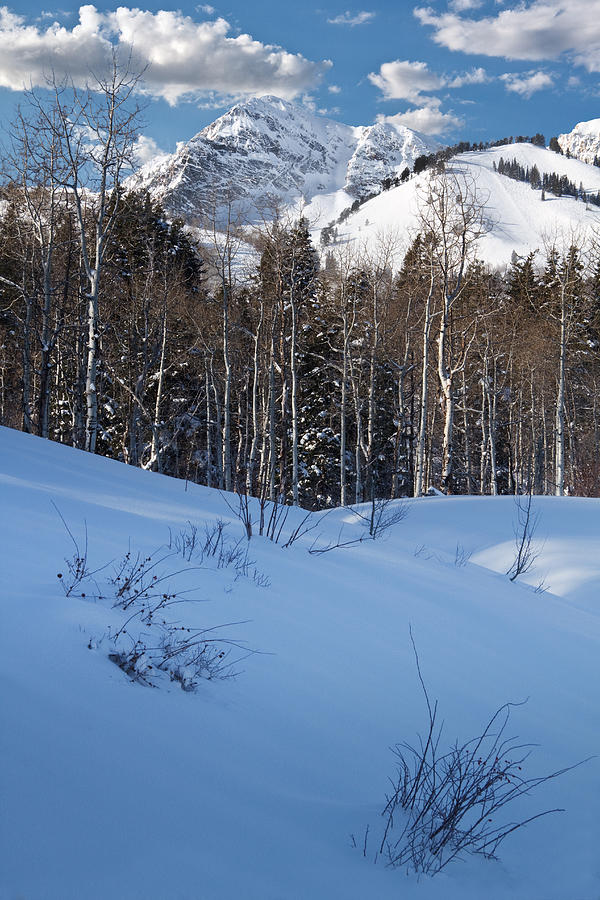 Winter in the Wasatch Mountains of Northern Utah #3 Photograph by Douglas Pulsipher