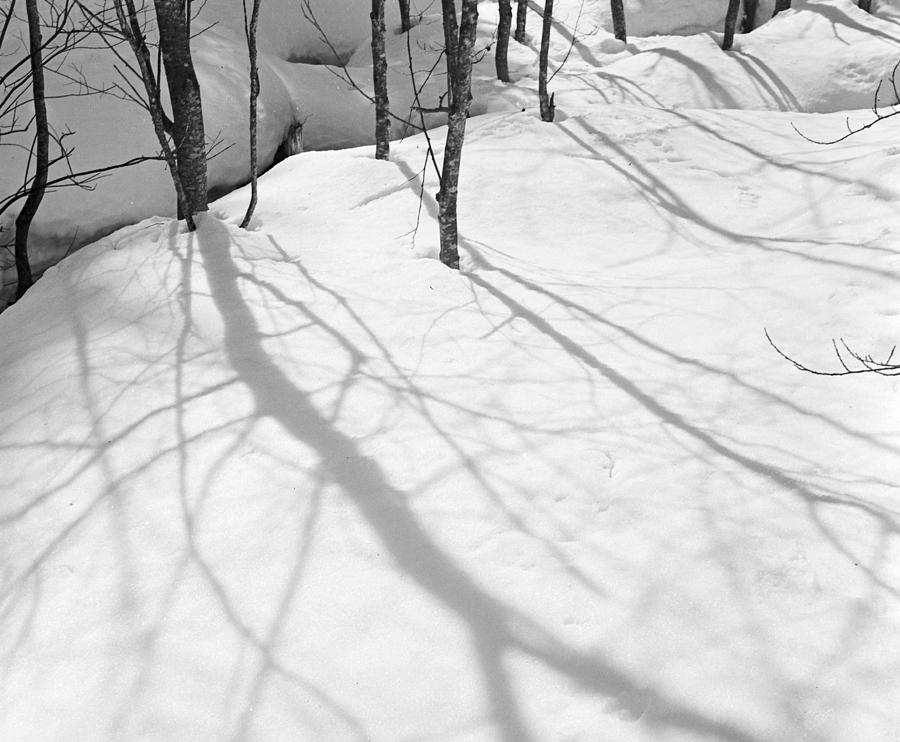 Winter Landscape Photograph by German School
