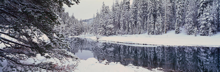 Winter Snowstorm In The Lake Tahoe #3 Photograph by Panoramic Images