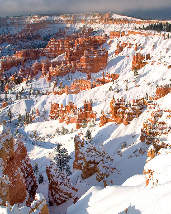 Winter Sunrise Bryce Canyon National Park Utah #3 Photograph by Dave Welling