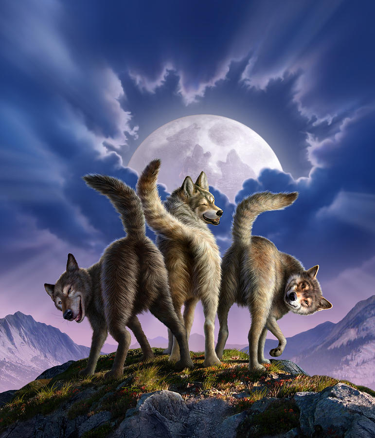 Wolf Digital Art - 3 Wolves Mooning by Jerry LoFaro