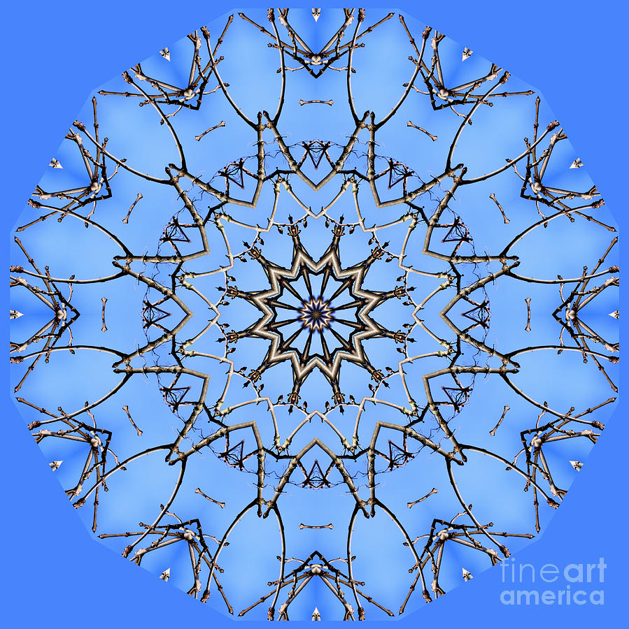 Bare And Blue Digital Art by Wendy Wilton