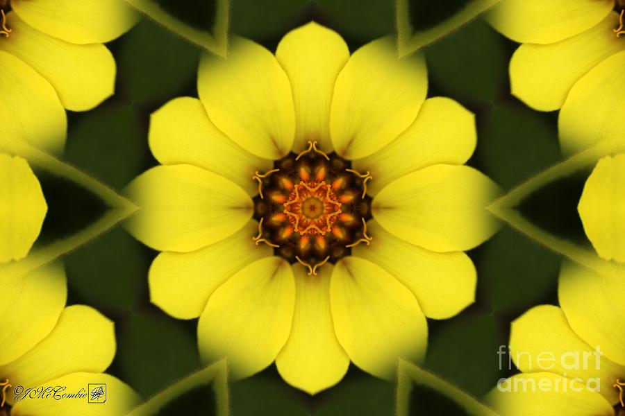 Pattern Digital Art - Yellow Zahara Mandala #2 by J McCombie