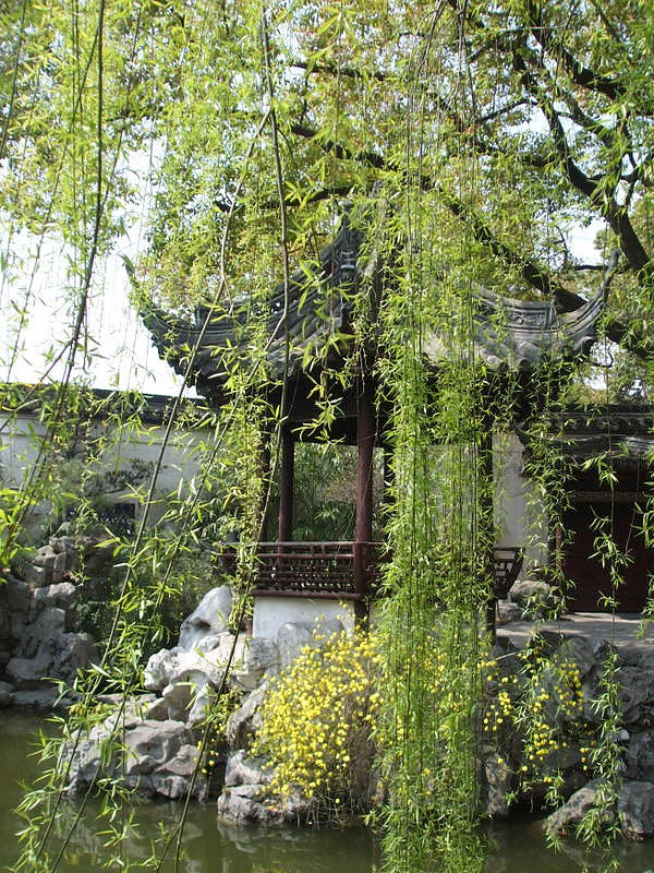 Yu-yuan Gardens, Shanghai, China #3 Photograph by Mackenzie Moulton