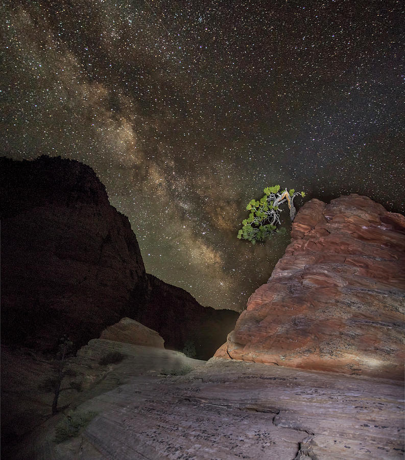 Zion Milky Way #3 Photograph by Michael Just
