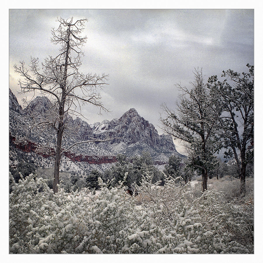 Zion Snow #1 Photograph by Robert Fawcett