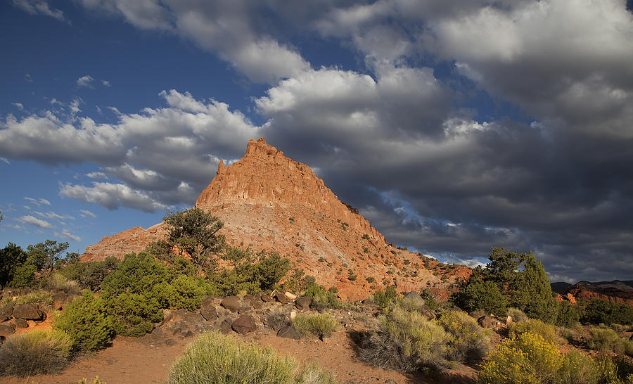 Capitol Reef National Park #30 Photograph by Mark Smith