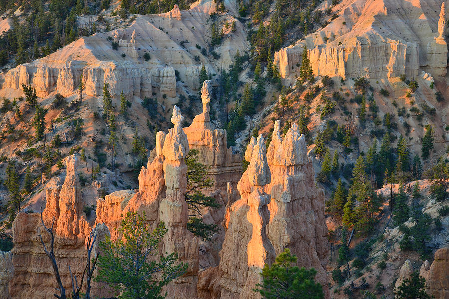 Fairyland Canyon #43 Photograph by Ray Mathis