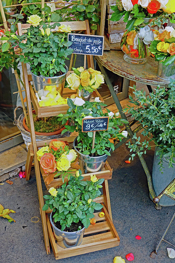 Flower Shop Display In Paris, France #30 Photograph by Rick Rosenshein