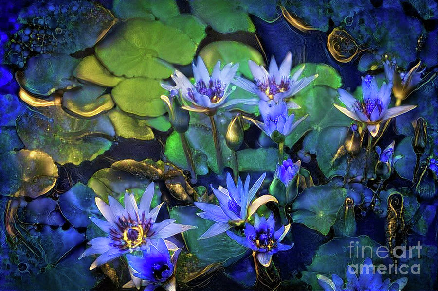 Flower Digital Art - Jeweled Water Lilies #30 by Amy Cicconi