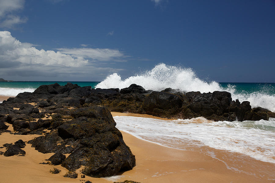 Kauai Shoreline #30 Photograph by Steven Lapkin
