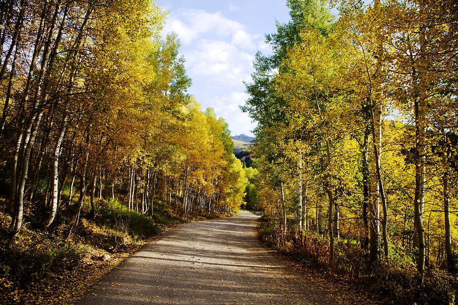 Fall Photograph - Rocky Mountain Fall #30 by Mark Smith