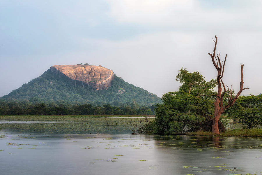 Sigiriya - Sri Lanka #30 Photograph by Joana Kruse