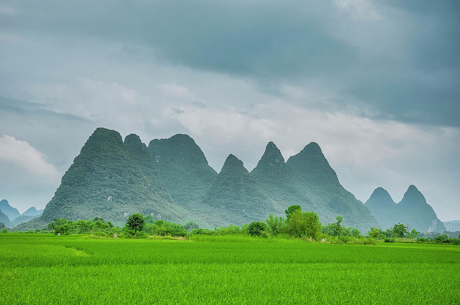 The beautiful karst rural scenery #30 Photograph by Carl Ning
