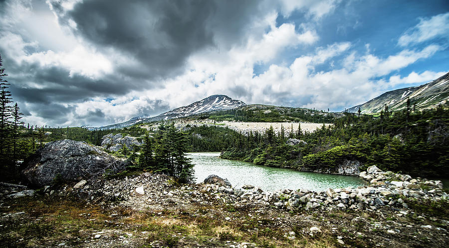 White Pass Mountains In British Columbia #30 Photograph by Alex Grichenko