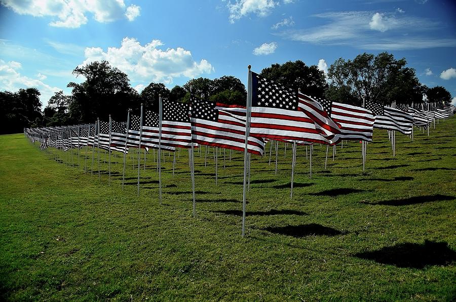 3000 Flags Photograph