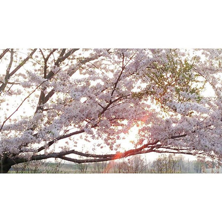Nature Photograph - Instagram Photo #301463727883 by Yuu Shiratori