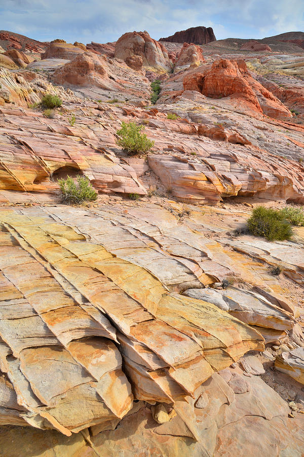 Valley of Fire #309 Photograph by Ray Mathis