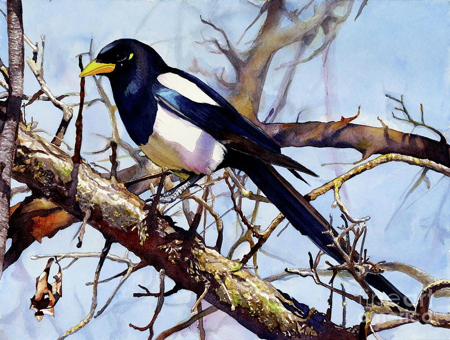 #309 Yellow-Billed Magpie #309 Painting by William Lum