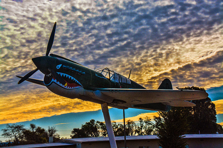 California Photograph - 30th Space Command P-40 1 by Tommy Anderson