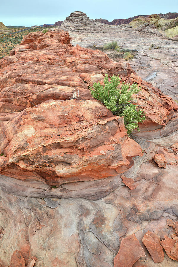 Colorful Sandstone in Valley of Fire #32 Photograph by Ray Mathis