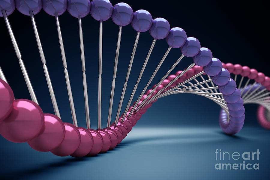 Dna Structure #31 Photograph by Science Picture Co