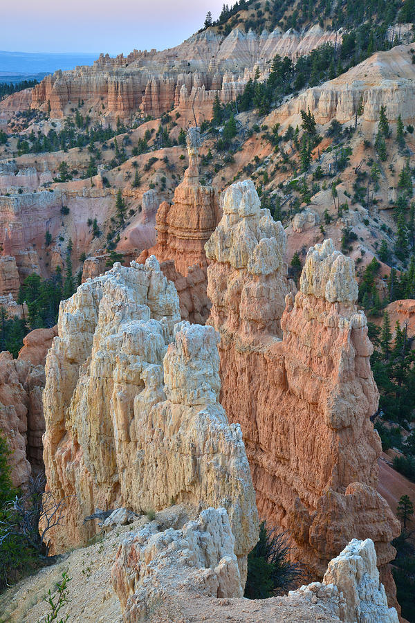 Fairyland Canyon #5 Photograph by Ray Mathis