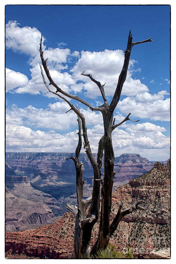 Road Photograph - Grand Canyon by Toula Mavridou-Messer Road Photograph - Grand Canyon by Toula Mavridou-Messer