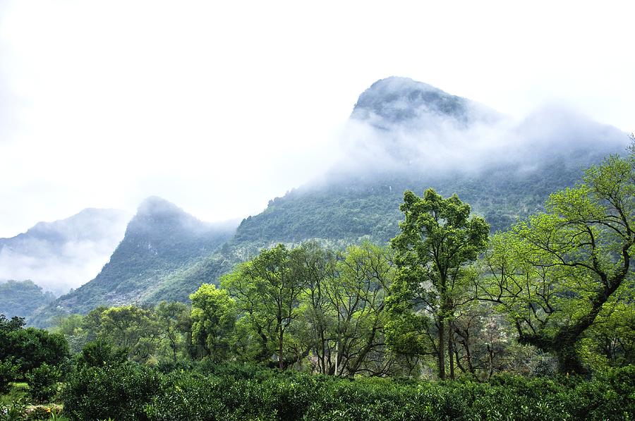 Mountains scenery in the mist #31 Photograph by Carl Ning