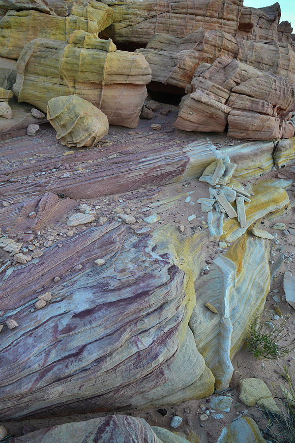 Multicolored Sandstone in Valley of Fire #23 Photograph by Ray Mathis