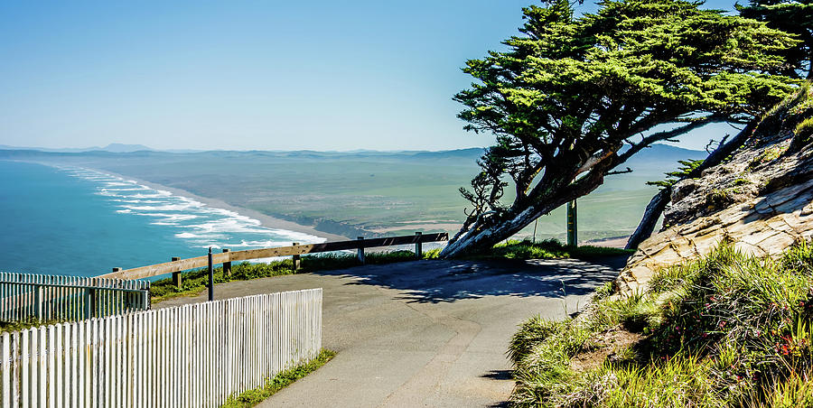 Point reyes national seashore landscapes in california  #31 Photograph by Alex Grichenko