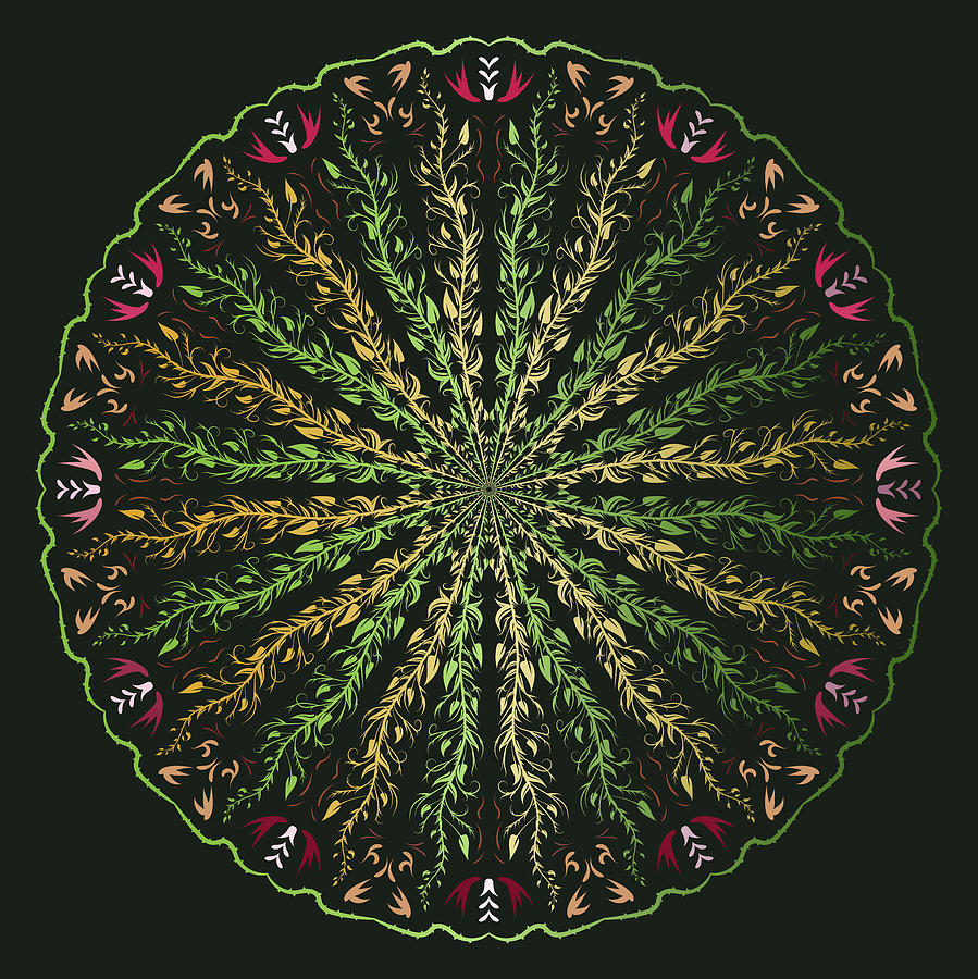 Vector hand drawn Mandala art #30 Digital Art by Alain De Maximy