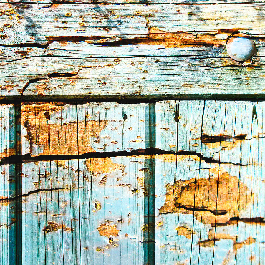 Abstract Photograph - Wooden background #31 by Tom Gowanlock